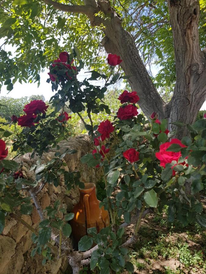 Villa Trullo Del Cavaliere Delle Gravine Castellaneta Exterior foto
